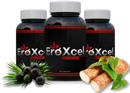 EroXcel