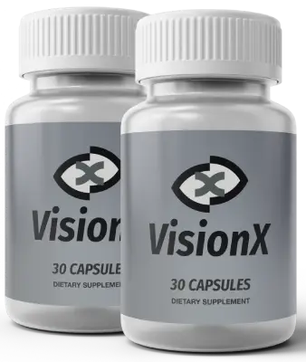 VisionX