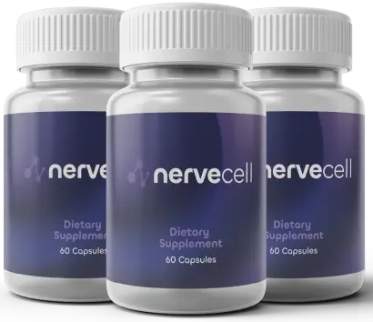 NerveCell